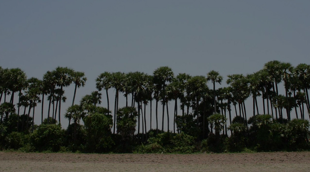 Chennai – On the Path to Revival