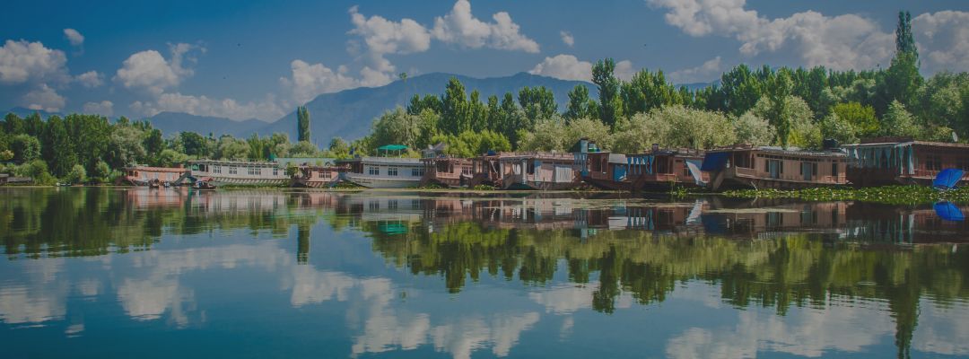 Market Snapshot: Kashmir Valley